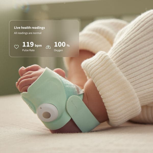 Owlet Dream Sock