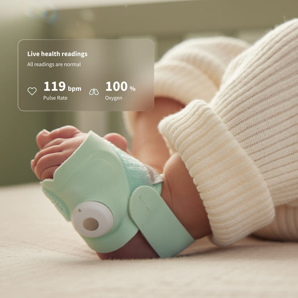 Owlet Dream Sock